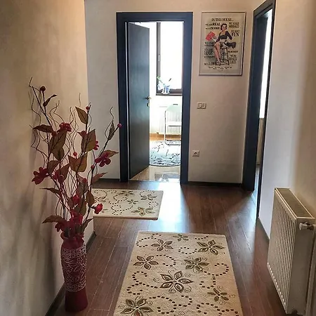 Summerview Apartmán Mamaia